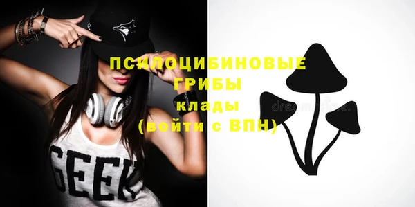 стаф Аркадак