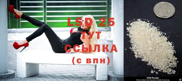 стаф Аркадак
